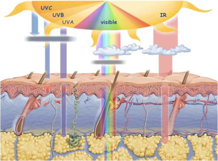 Physique Aide aux diagnostics médicaux
